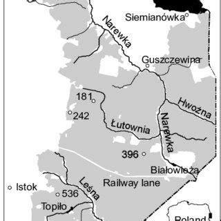 Map of the studied area: Białowieża Forest (grey), open land (white),... | Download Scientific ...