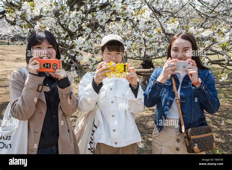 CHERRY BLOSSOM, TOKYO Stock Photo - Alamy