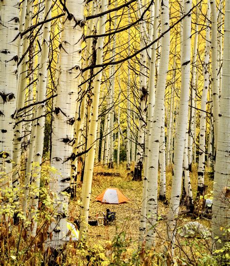 Gunnison National Forest, Colorado - Earth.com