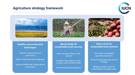 Sustainable food and agricultural systems | IUCN