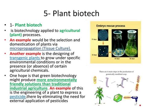 Introduction to Animal Biotechnology