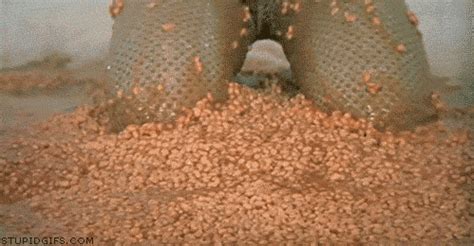 Beans Floor GIF - Find & Share on GIPHY