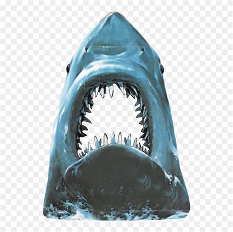 Shark Jaws Clip Art