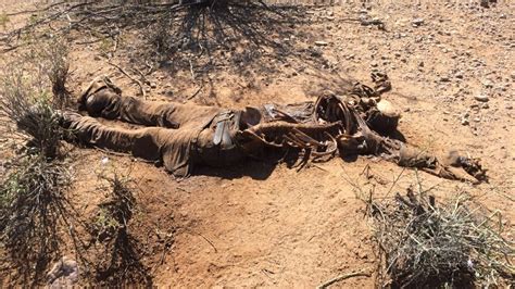 Project Bluelight - Decomposing Illegal Alien Found in Arizona Desert