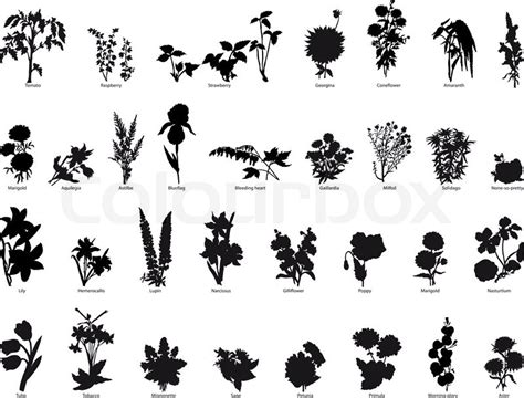 Garden Silhouette Vector at Vectorified.com | Collection of Garden ...