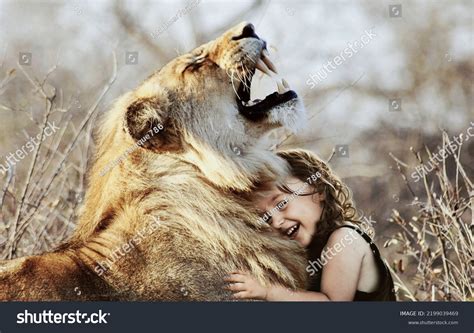 African Lion Roar Cute Baby Girl Stock Photo 2199039469 | Shutterstock