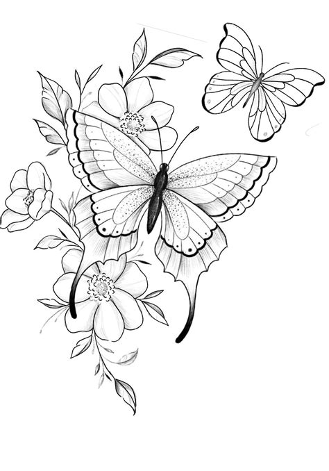 Butterfly Drawing: Black and White Butterflies Flying over Flowers