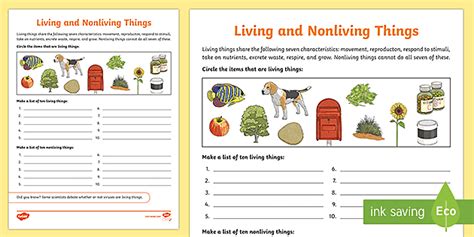 Classification Of Living Things For Kids Worksheet