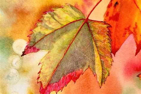 Painting Vibrant Fall Leaves with Watercolor! – Urbaki Art