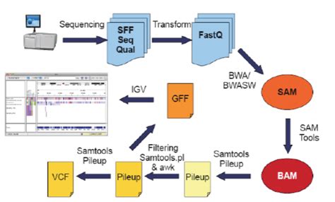 NGS Sequencing Technology and File Formats – NGS Analysis