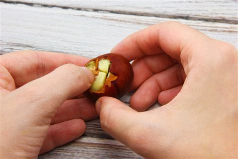 How to Roast Chestnuts in an Oven: 8 Steps (with Pictures)