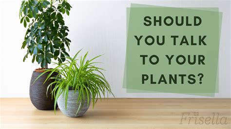 Talking to Plants: The Science