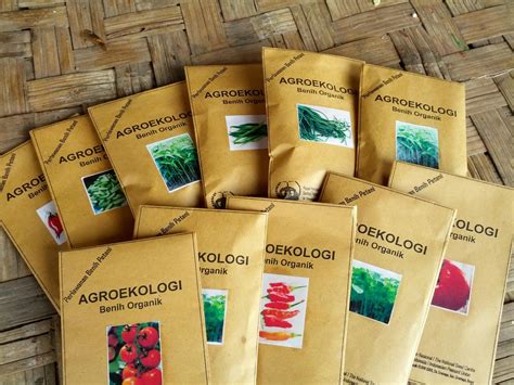 AGROEKOLOGIS: Produk Agroekologi, benih sayuran organik