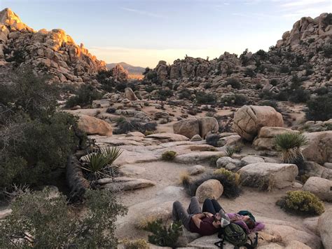 Hidden in the Hidden Valley, Joshua Tree [1334x750][OS] : JoshuaTree