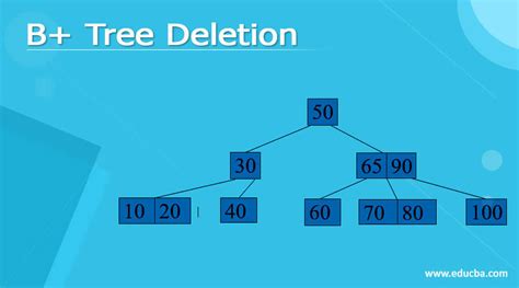 B+ Tree Deletion | Definition | Algorithm with Examples