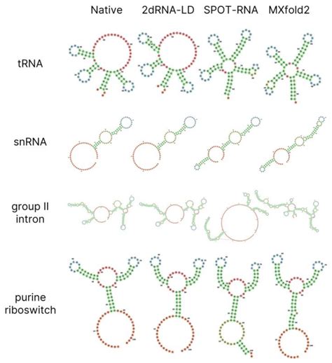 Secondary Structure