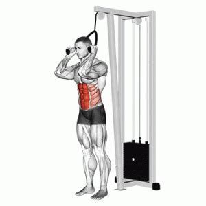 How To Do Standing Cable Crunch | Muscles Worked And Benefits