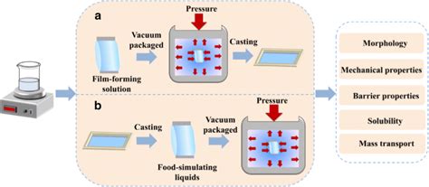 A graphical summary of the methodology of applying high pressure... | Download Scientific Diagram