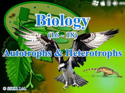 BioA_3.5.1 Autotrophs & Heterotrophs | Teaching Resources