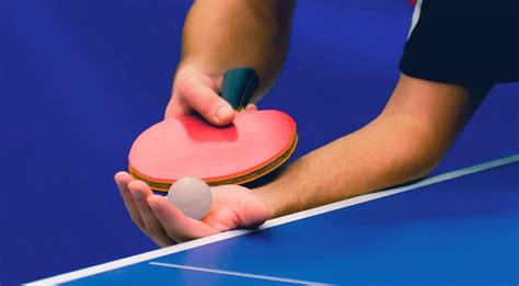 The Best 9 Ping Pong Paddles in 2022 - PongBoss