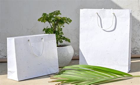 Go Green With Eco-friendly Paper Bags | BR GLOBAL TRADE