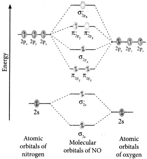 No Molecular Orbital Diagram