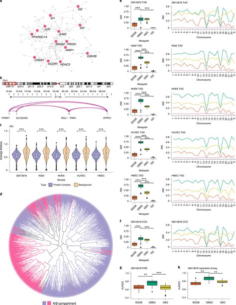 Biological interpretations of the embeddings produced by GEEK a, The... | Download Scientific ...