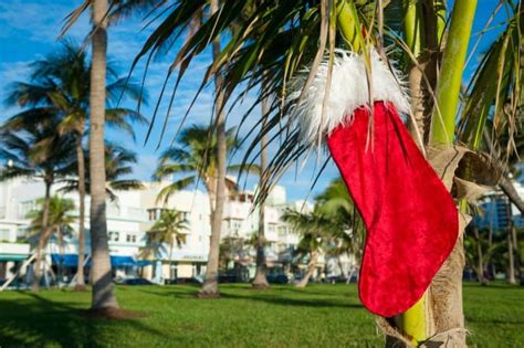 15 Best Things to Do in Miami At Christmas - Florida Trippers