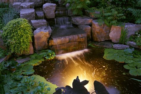 13 Pond Lighting Ideas for an Amazingly Bright Pond