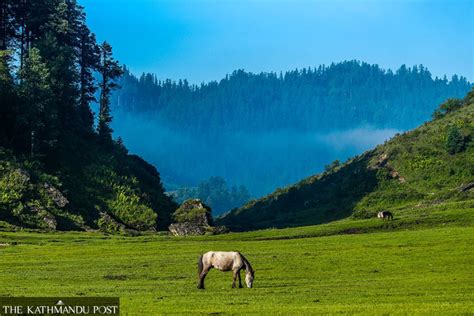 Khaptad, destination for all seasons