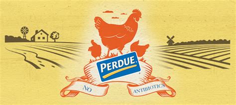 Perdue Farms Completes Final Step to Eradicate Antiobiotics in Chicken Production | Deli Market News