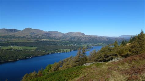 Grizedale Forest Photos