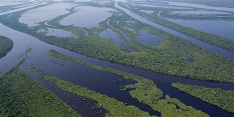 Anavilhanas Jungle Lodge - Luxury in the heart of the Amazon