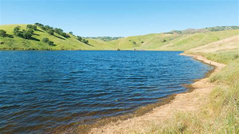 Everything You Need To Know about San Luis Reservoir Camping