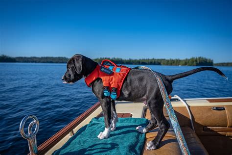 The Best Dog Life Jacket, Ruffwear Float Coat — Dog Photography by ...