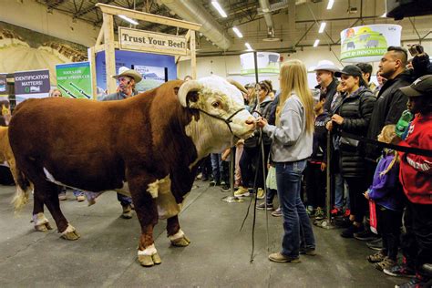 Meeting consumers on the Cattle Trail - Canadian Cattlemen