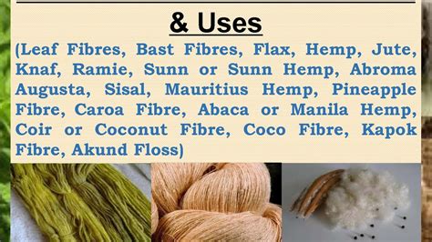 Natural Fibers with Cultivation & Uses. - YouTube