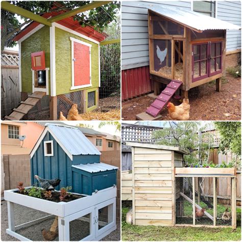 27 Free DIY Chicken Coop Plans That Beginners Can Build