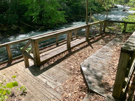 Savage River Bridge Loop - Garrett Trails