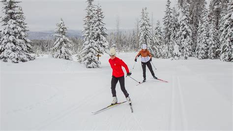 A Beginner’s Guide to Cross-Country Skiing | Fresh Air Kelowna