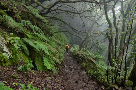 Anaga Country Park (Tenerife) 2025 • Everything you should know - Go ...