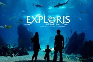 Exploris Aquarium | Zoos & Aquariums Co. Down, Northern Ireland | Virtual Visit Tours