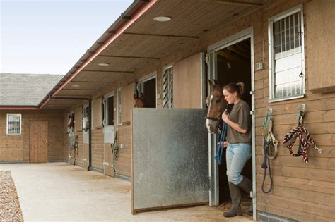 Newmarket Stable Door | Timber Manufacturer | Scotts of Thrapston ...