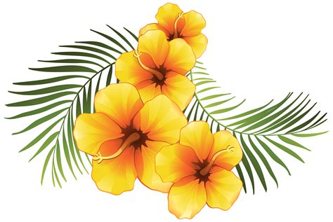 Hawaiian Tropical Flowers Drawing - Hawaiian Flower Sketch at PaintingValley.com | Explore ...