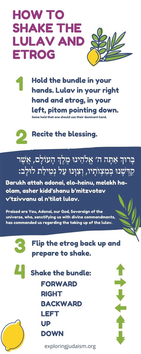 How to Shake the Lulav and Etrog - The Digital Home for Conservative ...