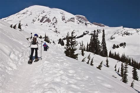 "Snowshoeing at Paradise, Mt. Rainier National Park" by Barb White ...