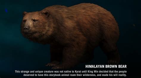 Himalayan Brown Bear - Far Cry Wiki