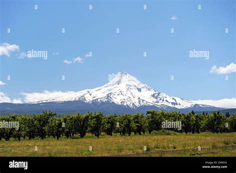 Mount Hood, Oregon Stock Photo - Alamy