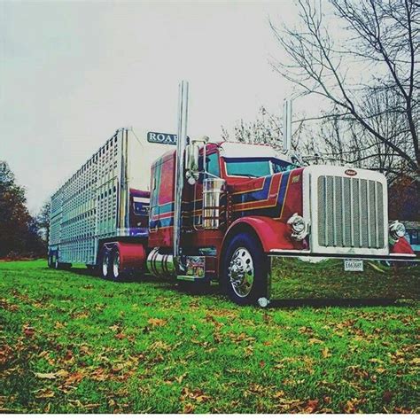 Semitrckn — Peterbilt custom 379EX bull hauler