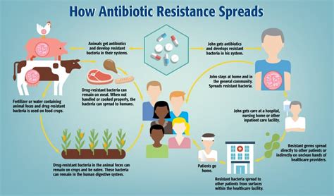 Good hygiene can delay antibiotic resistance | SpaDental Group